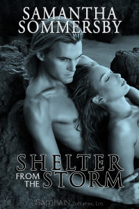 Shelter From the Storm